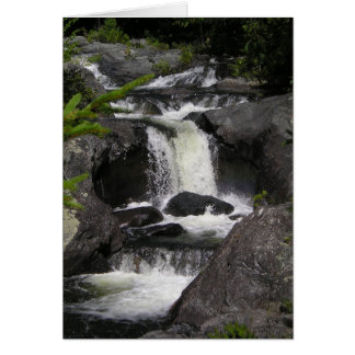 Appalachian Falls Cards