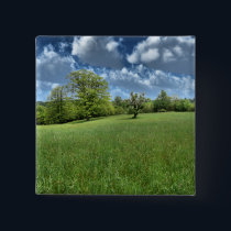 Appalachian Green Button