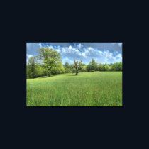 Appalachian Green Canvas Print