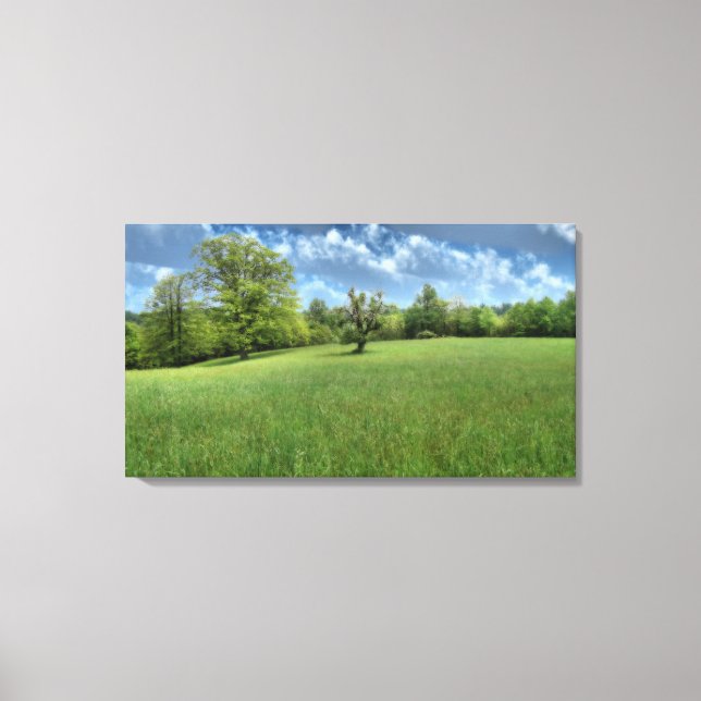 Appalachian Green Canvas Print (Front)