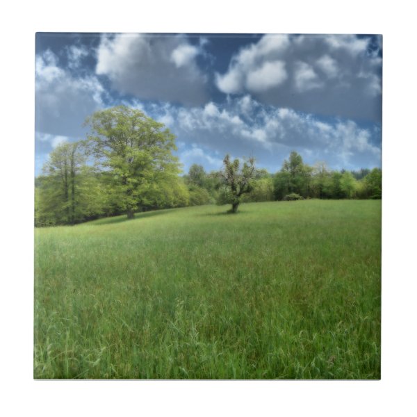 Appalachian Green Decorative Tile