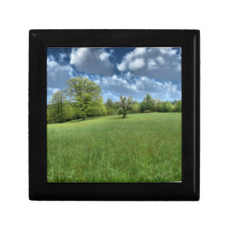 Appalachian Green Gift Box