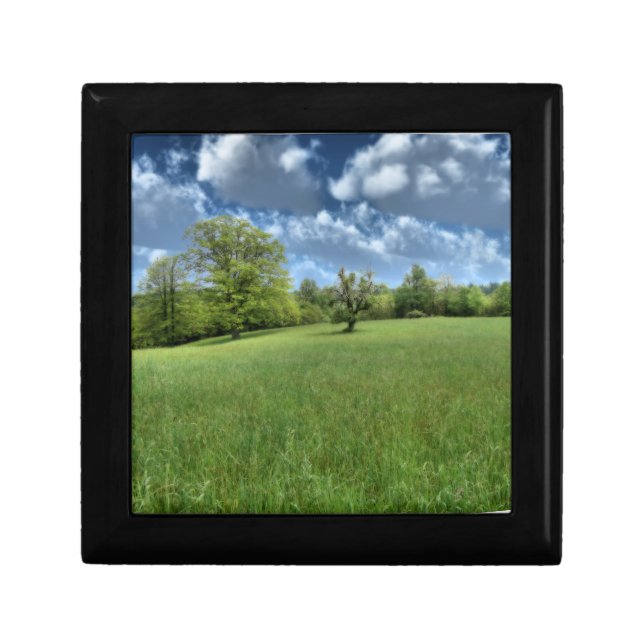 Appalachian Green Gift Box (Front)