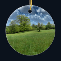 Appalachian Green Ornament