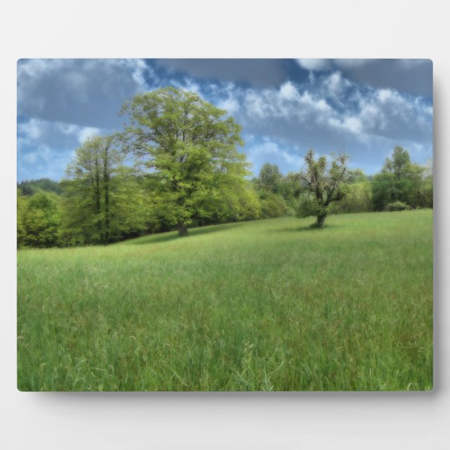 Appalachian Green Photo Plaque (Front)