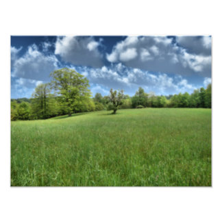 Appalachian Green Photo Print
