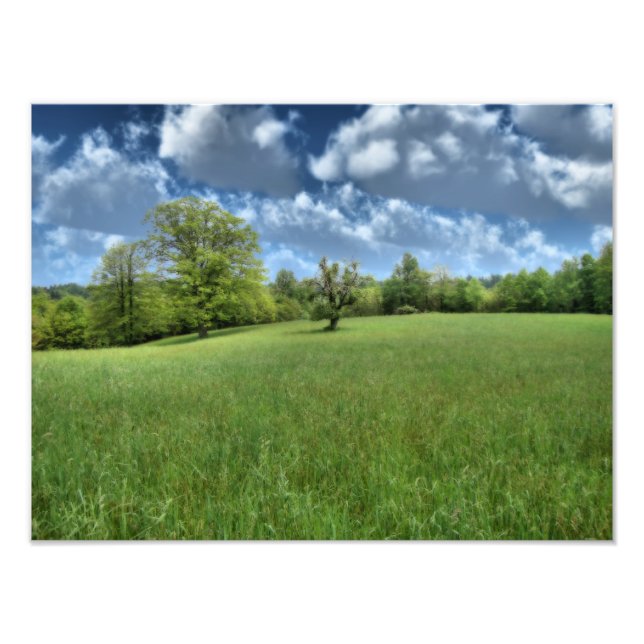 Appalachian Green Photo Print (Front)