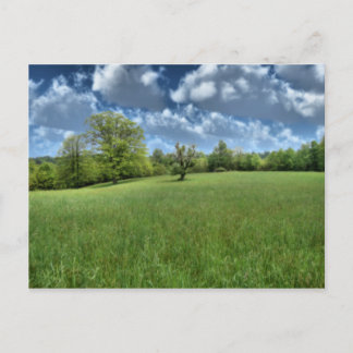 Appalachian Green Postcard