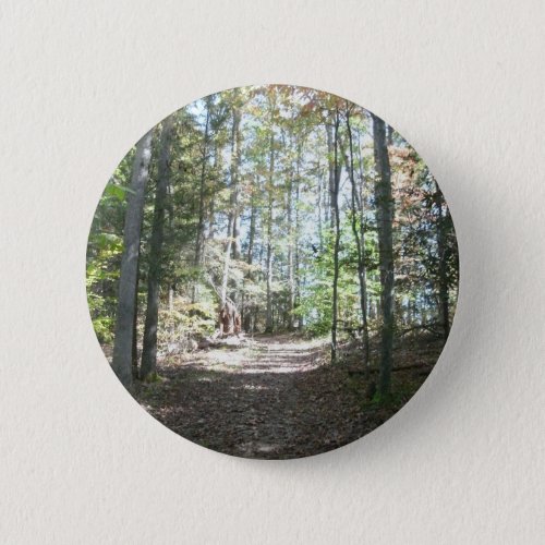 Appalachian Hiking Trail Pinback Button