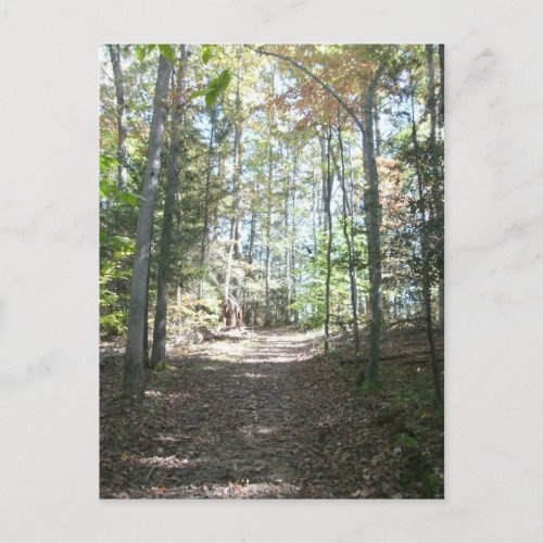 Appalachian Hiking Trail Postcard