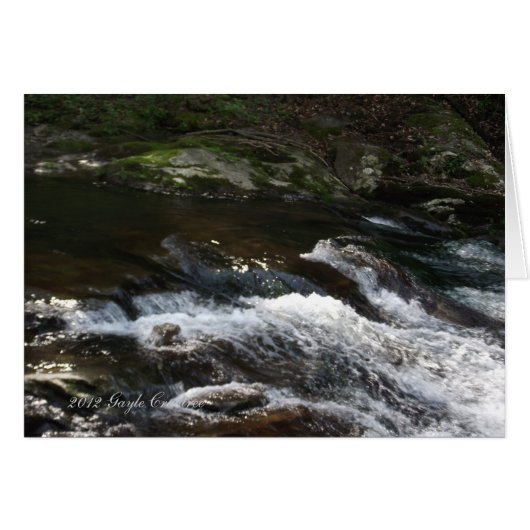 Appalachian mountain creek cards (Front Horizontal)