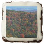 Appalachian Mountains in Fall Chocolate Brownie