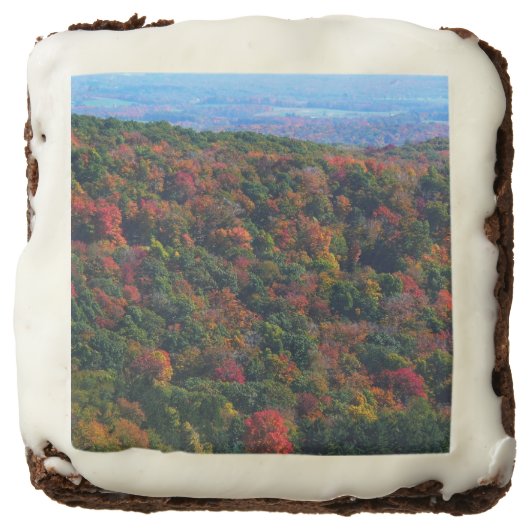 Appalachian Mountains in Fall Chocolate Brownie (Front)