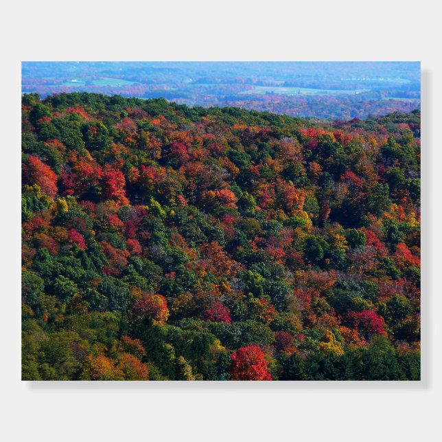 Appalachian Mountains in Fall Foam Board (Front)
