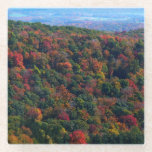 Appalachian Mountains in Fall Glass Coaster