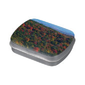 Appalachian Mountains in Fall Jelly Belly Tin (Side)