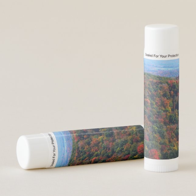 Appalachian Mountains in Fall Lip Balm (Front)