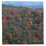 Appalachian Mountains in Fall Napkin