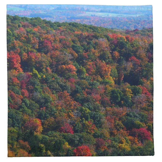 Appalachian Mountains in Fall Napkin (Front)