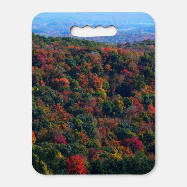Appalachian Mountains in Fall Seat Cushion (Front Vertical)