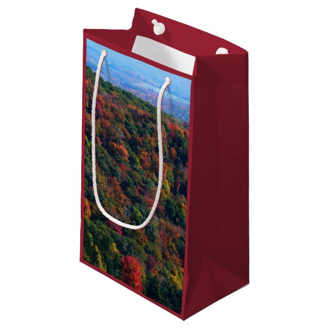 Appalachian Mountains in Fall Small Gift Bag (Front Angled)