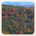 Appalachian Mountains in Fall Square Paper Coaster