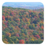 Appalachian Mountains in Fall Square Sticker