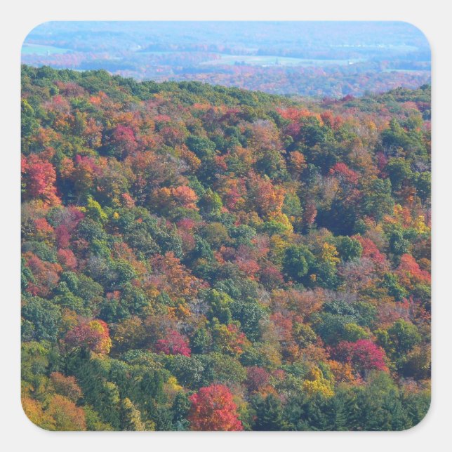 Appalachian Mountains in Fall Square Sticker (Front)