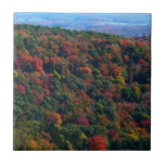 Appalachian Mountains in Fall Tile