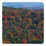 Appalachian Mountains in Fall Trivet