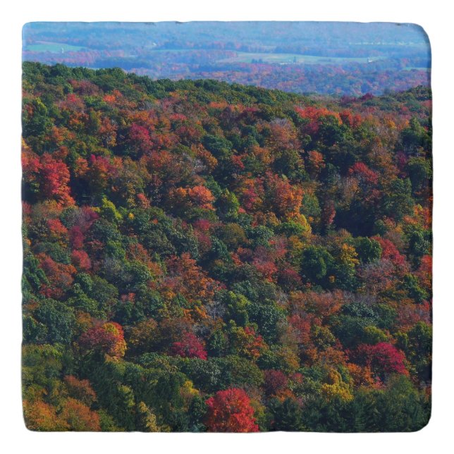 Appalachian Mountains in Fall Trivet (Front)