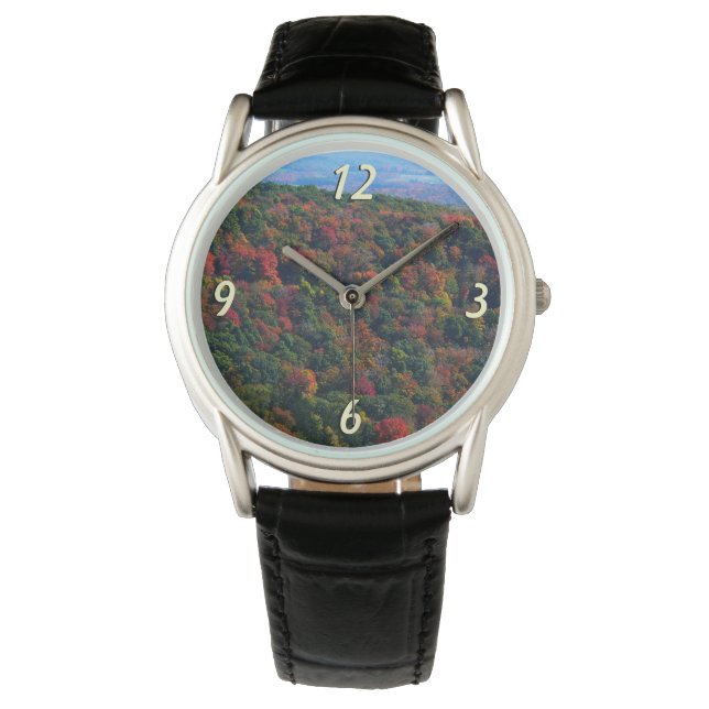 Appalachian Mountains in Fall Watch (Front)
