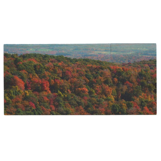 Appalachian Mountains in Fall Wood Flash Drive (Front)