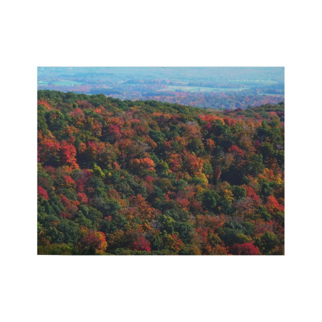 Appalachian Mountains in Fall Wood Poster (Front)