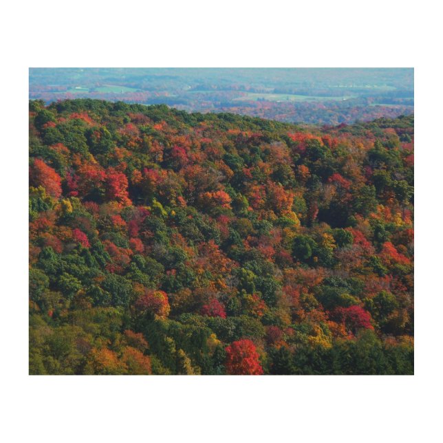 Appalachian Mountains in Fall Wood Wall Art (Front)