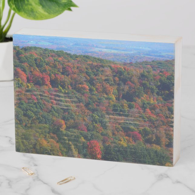 Appalachian Mountains in Fall Wooden Box Sign (In Situ Horizontal)