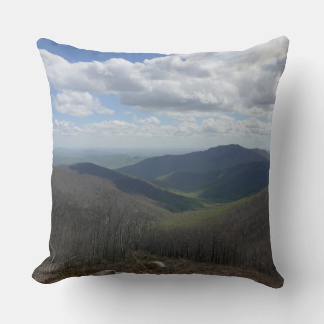 Appalachian Mountains in Spring Throw Pillow (Front)