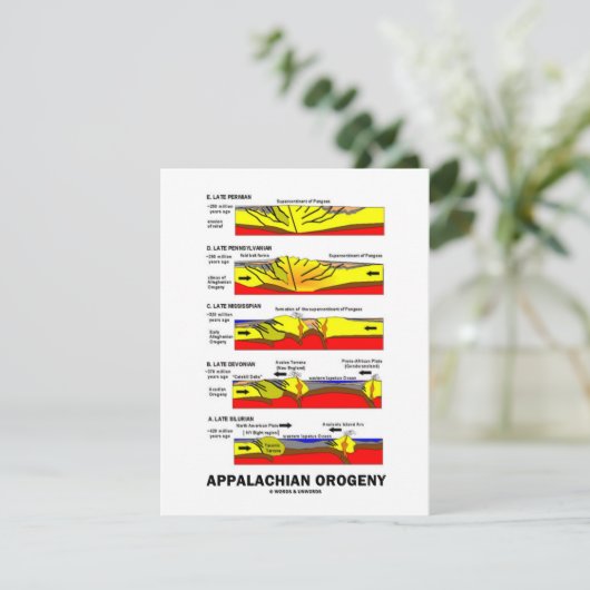 Appalachian Orogeny (Mountain Building Over Time) (Standing Front)