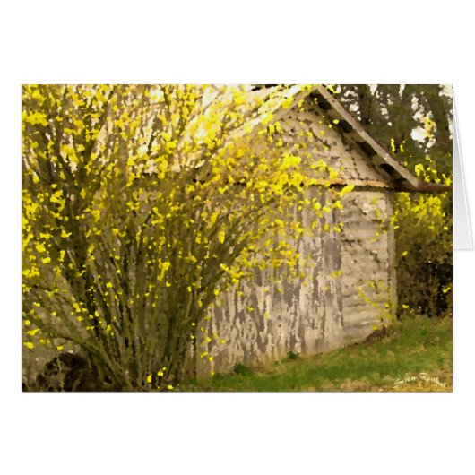 Appalachian Spring Cards (Front Horizontal)