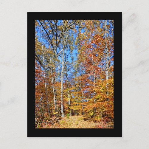 Appalachian Trail Autumn Fall Scenery Postcard