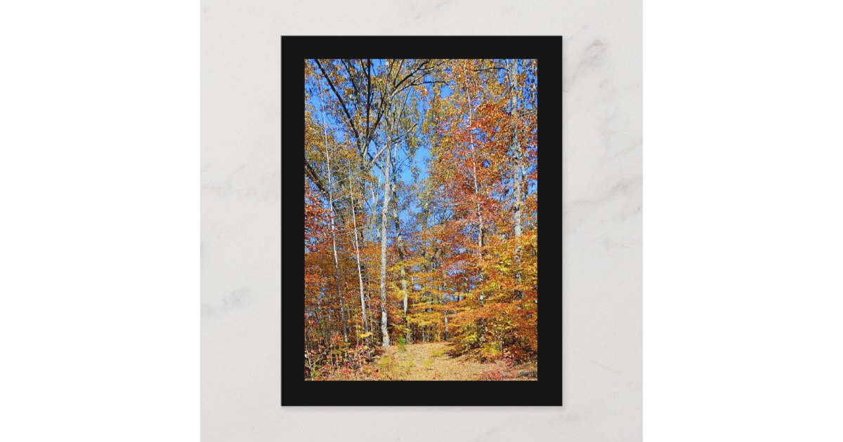 Appalachian Trail Autumn, Fall Scenery Postcard | Zazzle
