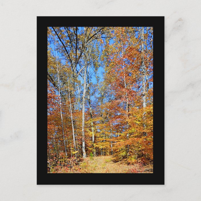 Appalachian Trail Autumn, Fall Scenery Postcard | Zazzle.com