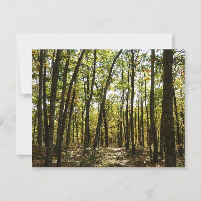 Appalachian Trail in October at Shenandoah (Front)