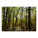 Appalachian Trail in October at Shenandoah