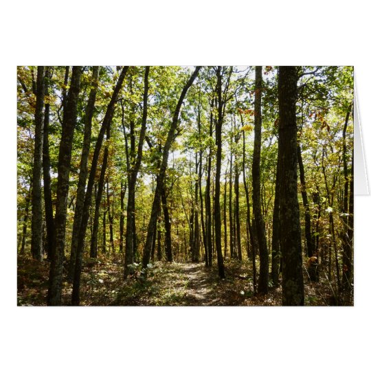 Appalachian Trail in October at Shenandoah Card