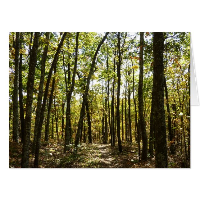 Appalachian Trail in October at Shenandoah Card (Front Horizontal)