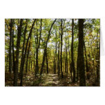 Appalachian Trail in October at Shenandoah Cards