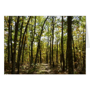 Appalachian Trail in October at Shenandoah Cards