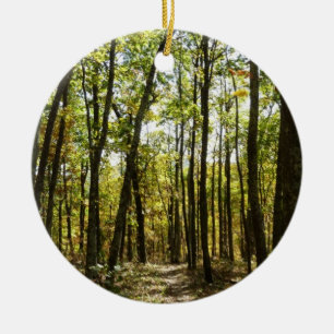 Appalachian Trail in October at Shenandoah Ceramic Ornament