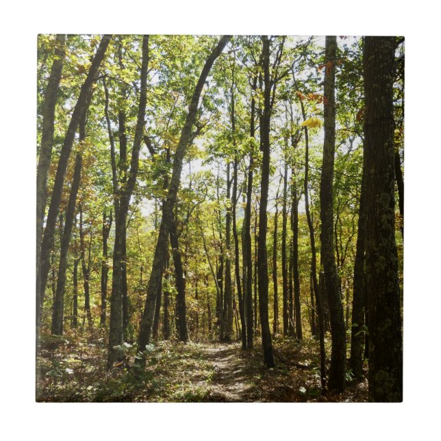 Appalachian Trail in October at Shenandoah Ceramic Tile (Front)